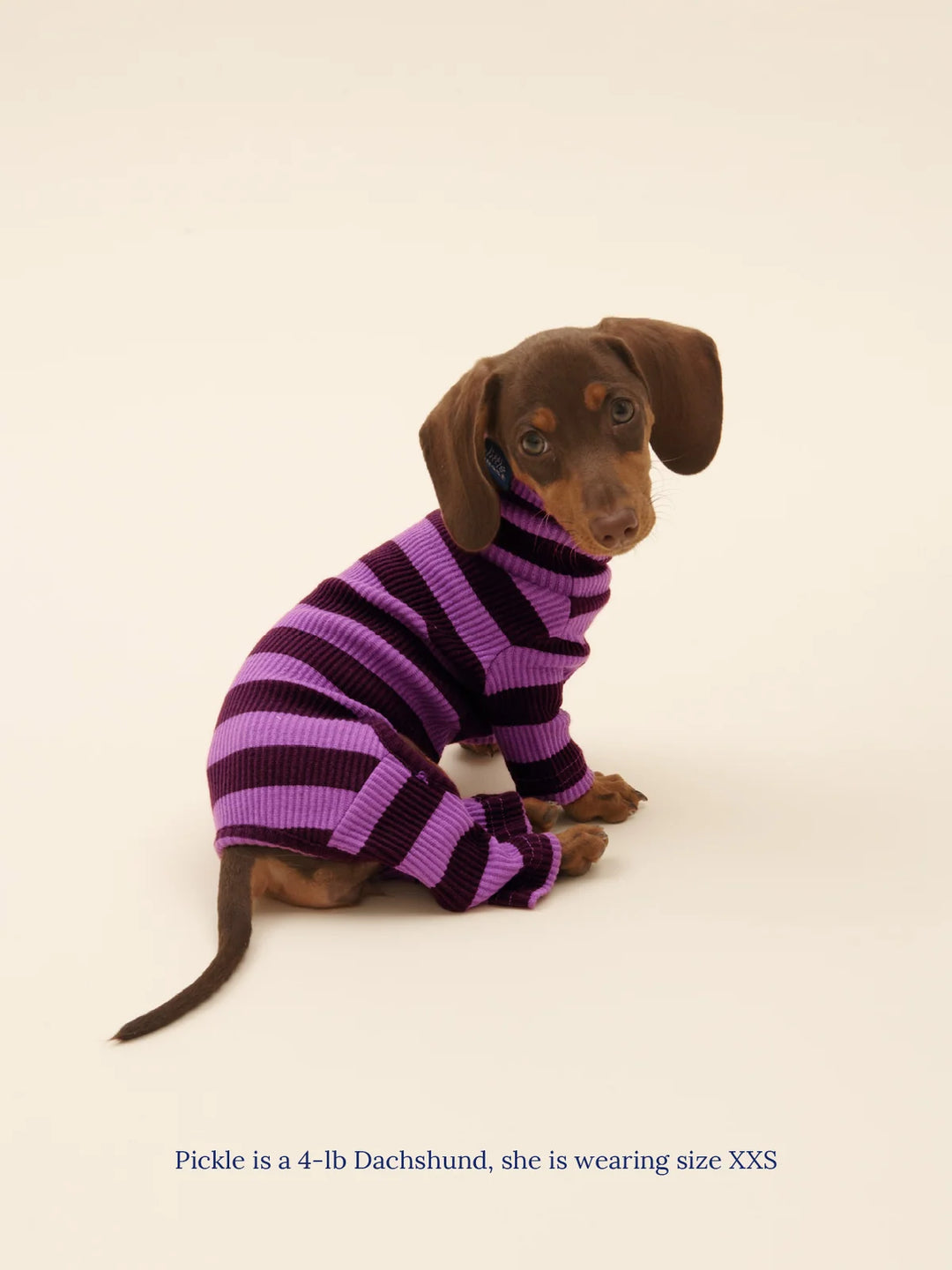 PBJ Onesie