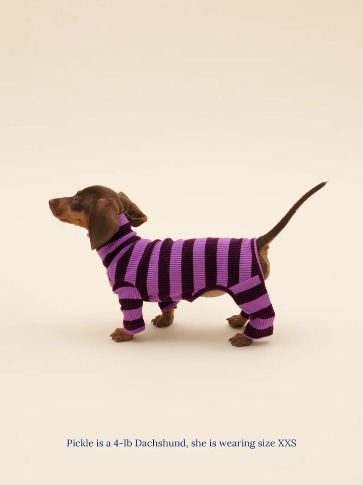 PBJ Onesie