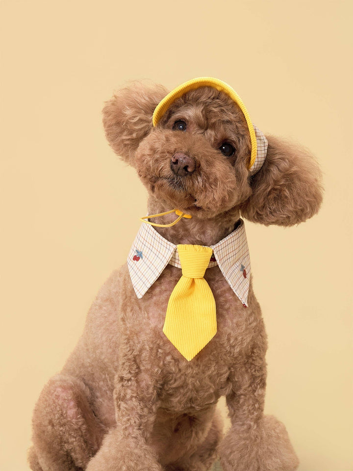 Sunny Days Yellow Checkered Dog Cap