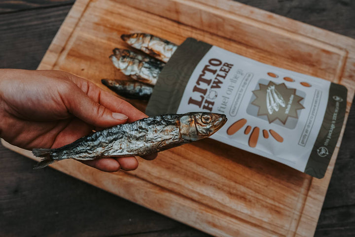 Whole Sardines Dehydrated | 3 oz