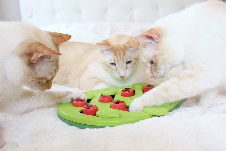 Puzzle &amp; Play Buggin Out Cat Game Toy