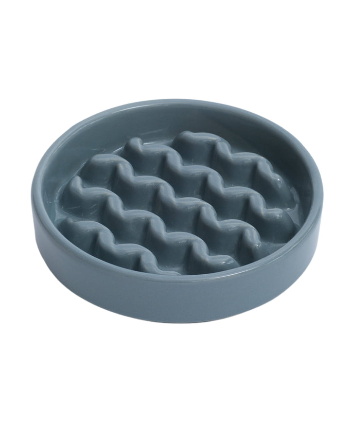 Macaroni Slow Feeder Dog Bowl