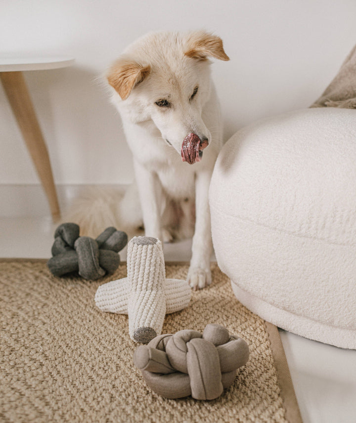 Nou Charcoal Enrichment Toy