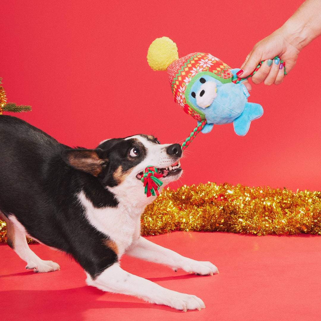 Walter the Winter Walrus Dog Toy