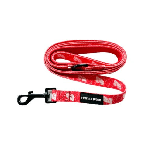 Leash - Anthurium Red