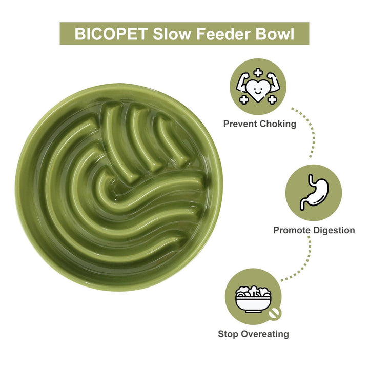 Spark Slow Feeder Dog Bowl