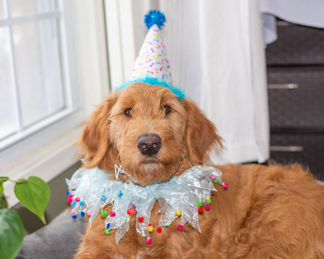 Party Pom Pom Collar Blue Medium