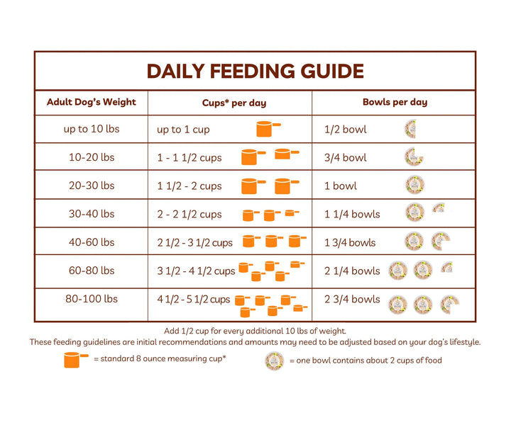 Organic Kimchi "Fried Rice" Bowls for Dogs - Pork + Beef