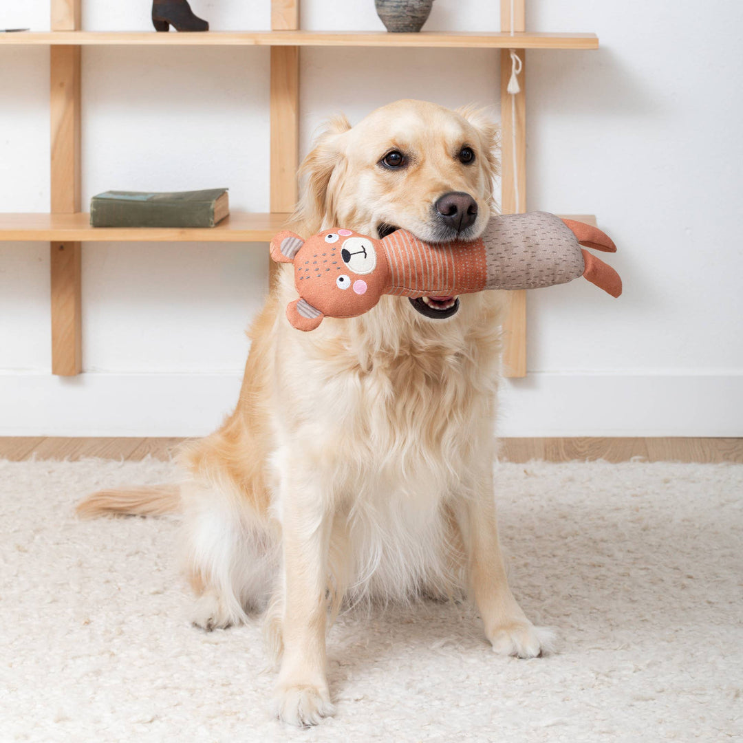DOING THE BEAR MINIMUM CANVAS DOG TOY