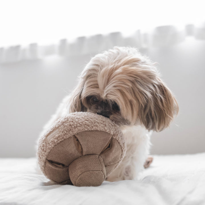 Guu Oat Mushroom Enrichment Toy