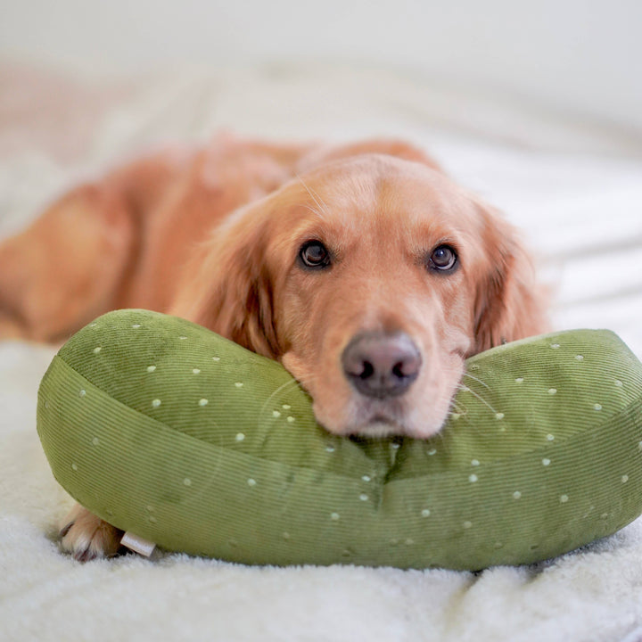 Giant Pickle Enrichment Toy