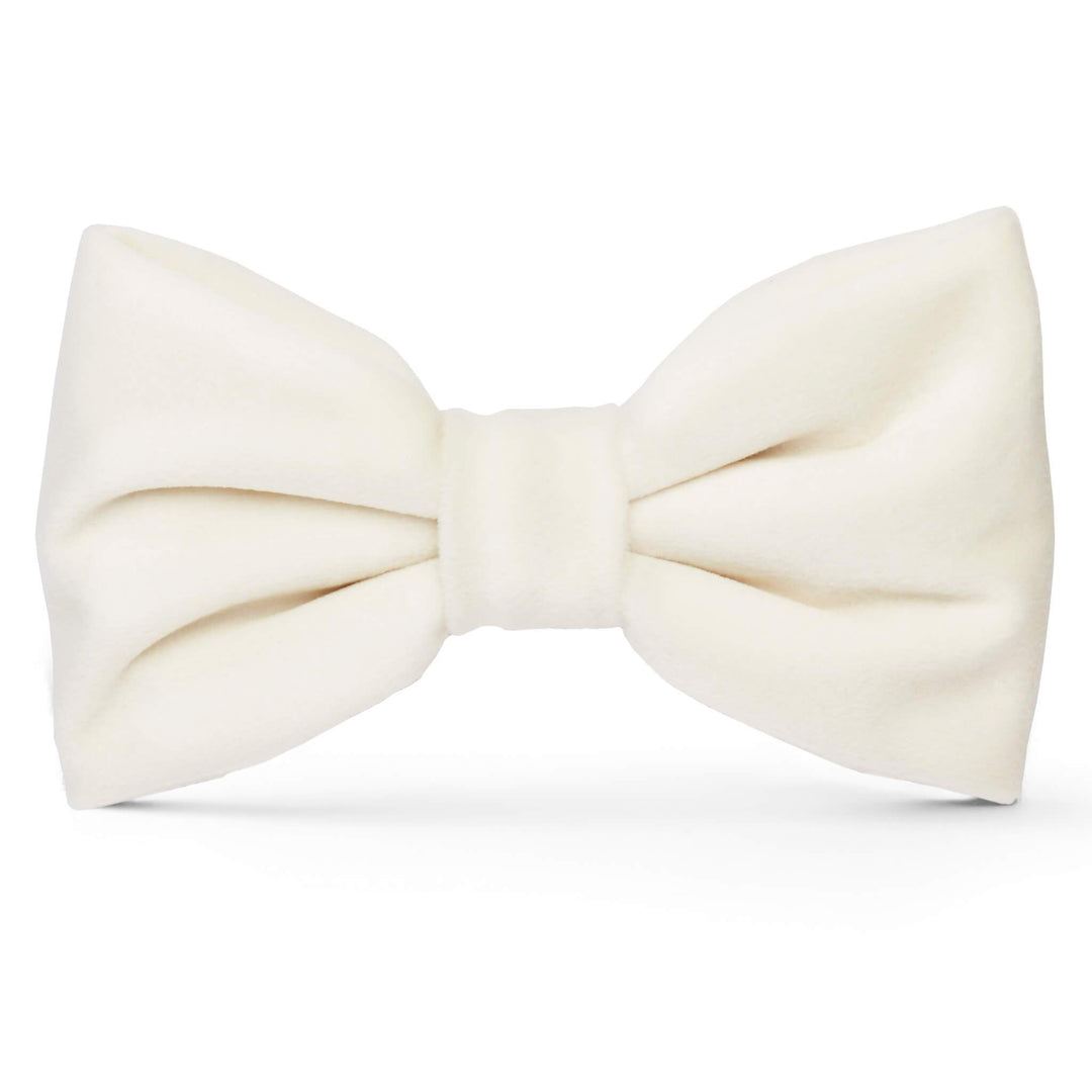 Ivory Velvet Dog Bow Tie