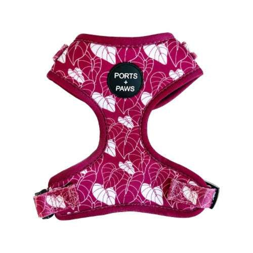 Harness - Anthurium Maroon