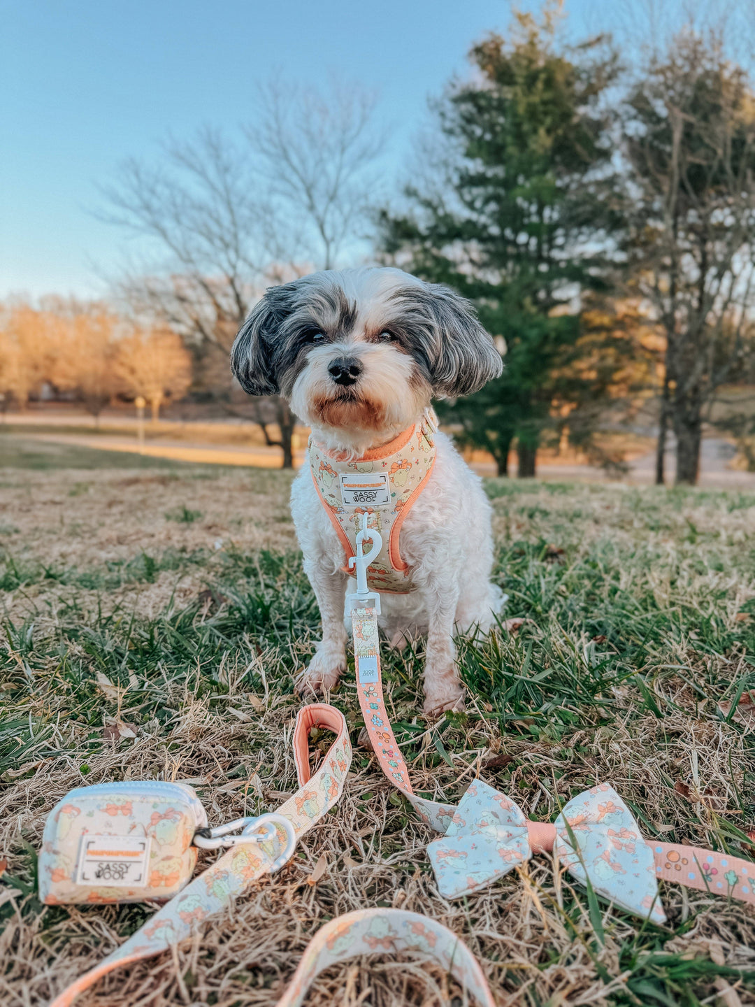 Pompompurin™ Adjustable Harness