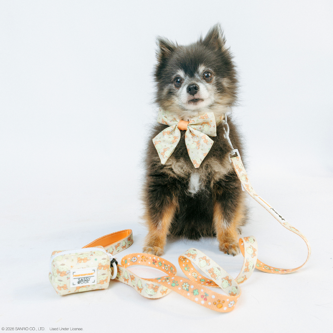 Pompompurin™ Dog Collar