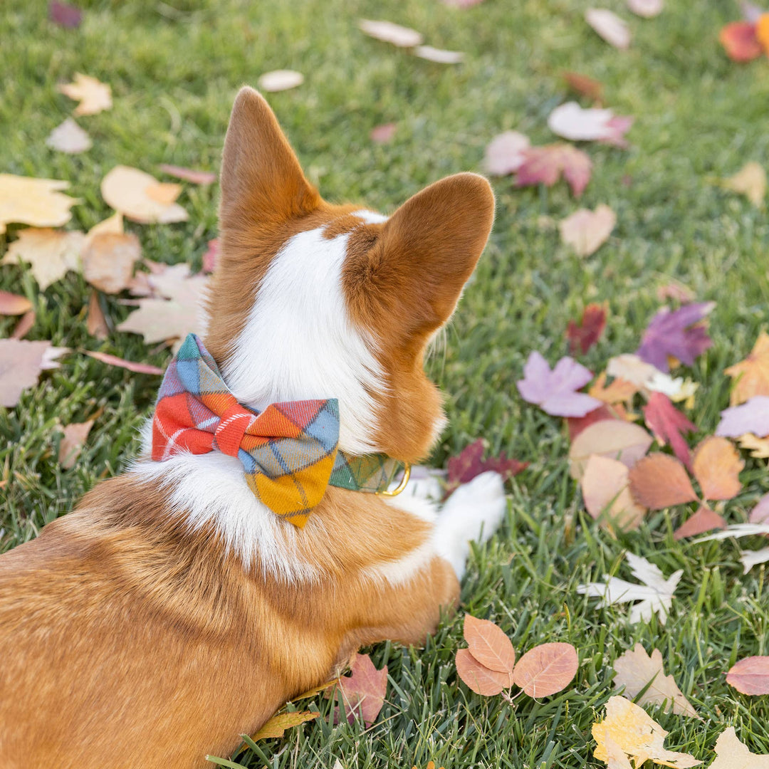 Buchanan Plaid Fall Dog Bow Tie