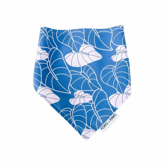 Bandana - Anthurium Blue