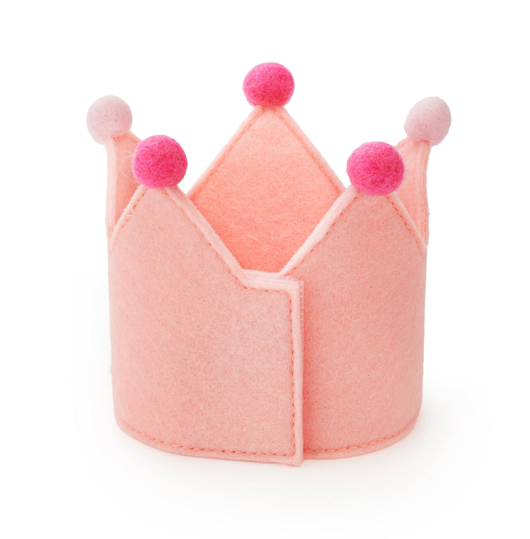 Blush Pink Dog Birthday Crown + Numbers Set