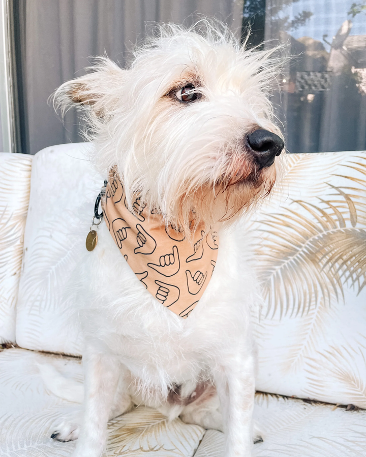 Bandana - Shaka Latte
