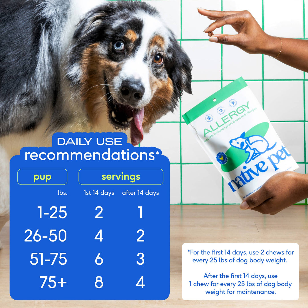 Allergy &amp; Immune Chews
