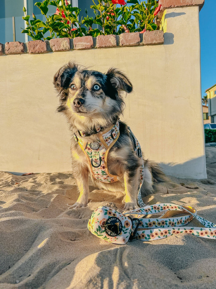 Dog Waste Bag Holder Sunflower Dreams