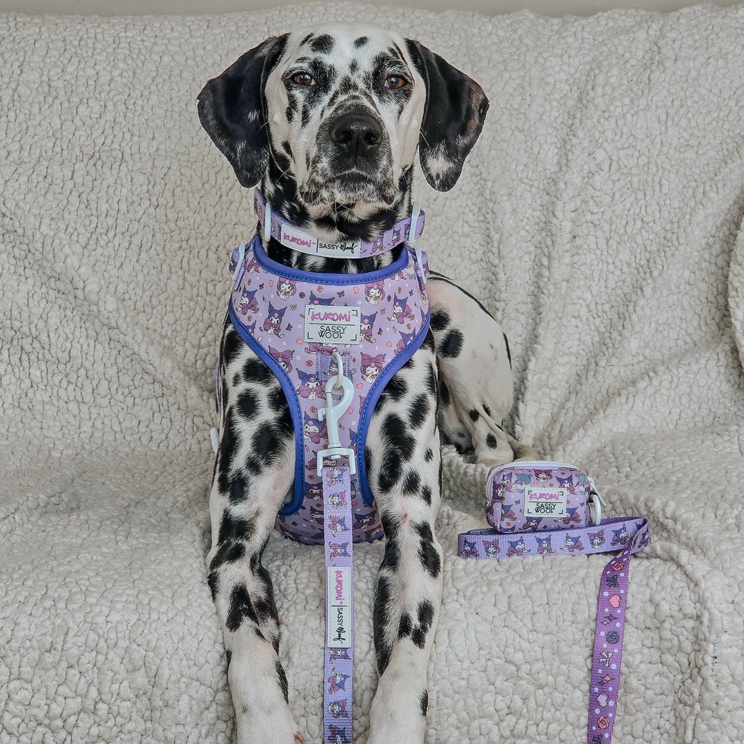Kuromi™ Dog Collar