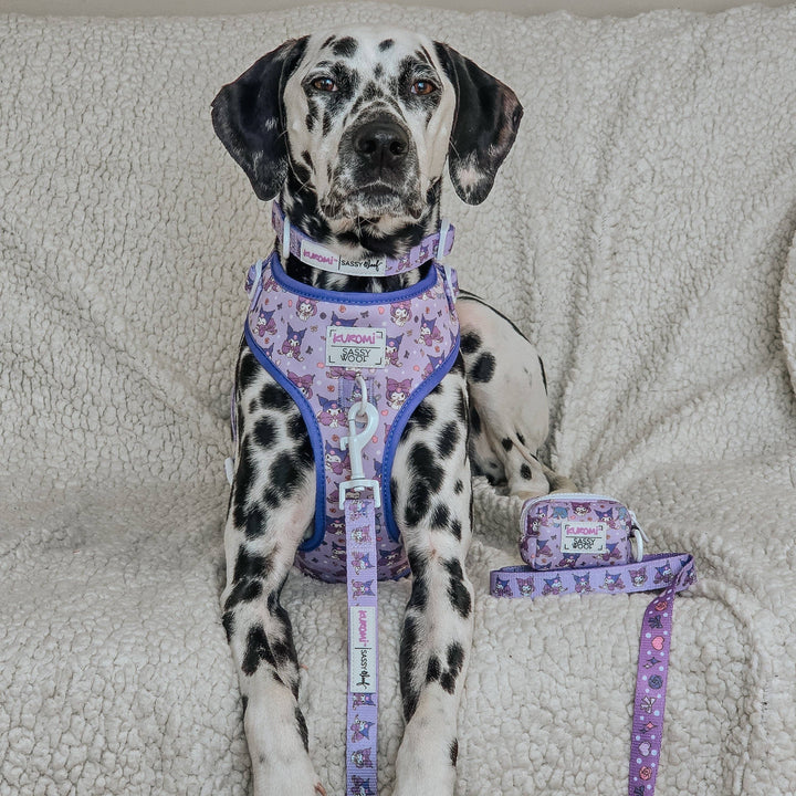 Kuromi™ Dog Collar