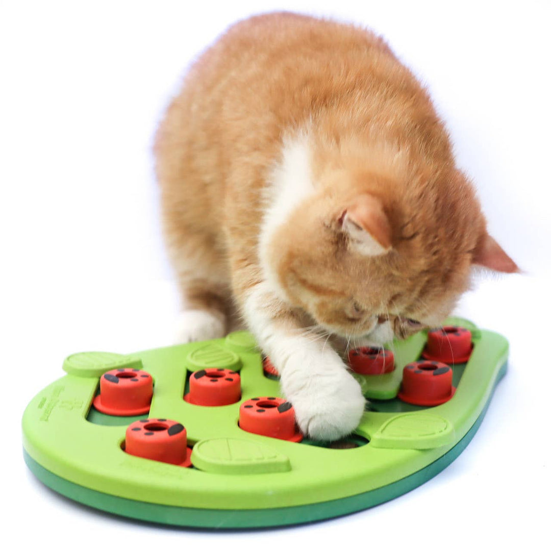 Puzzle &amp; Play Buggin Out Cat Game Toy