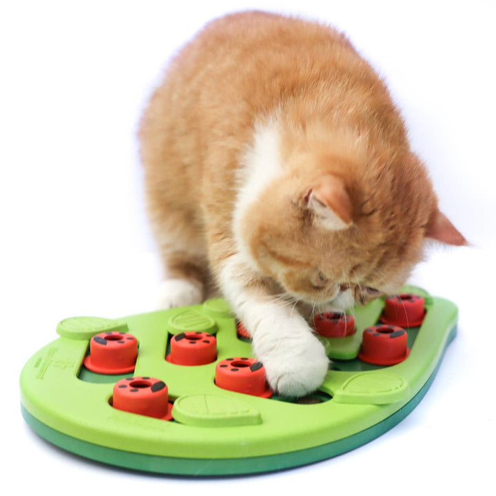 Puzzle &amp; Play Buggin Out Cat Game Toy