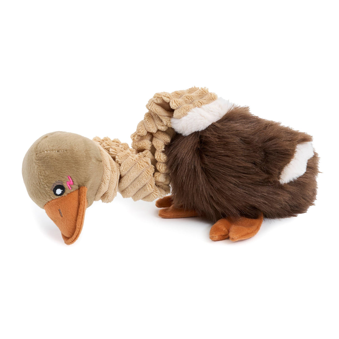 Bungee Buddiez Ostrich