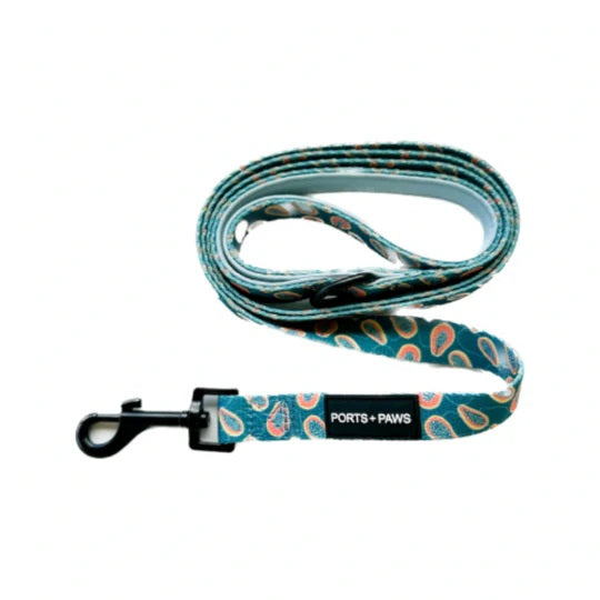 Leash - Papaya