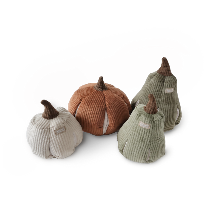 Cinderella Pumpkin Enrichment Toy