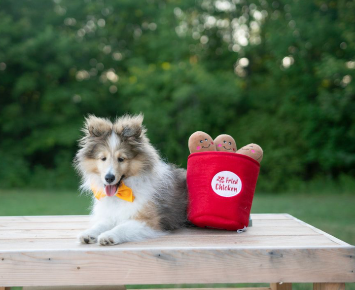 Zippy Burrow - Bucket of Chicken - Dog Toy