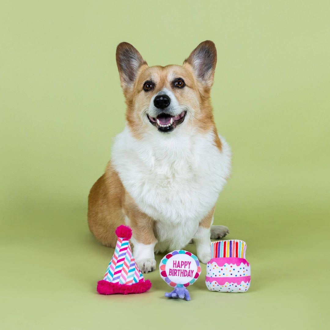 CAN I GET A WOOFWOOF 3PCS SMALL DOG TOY