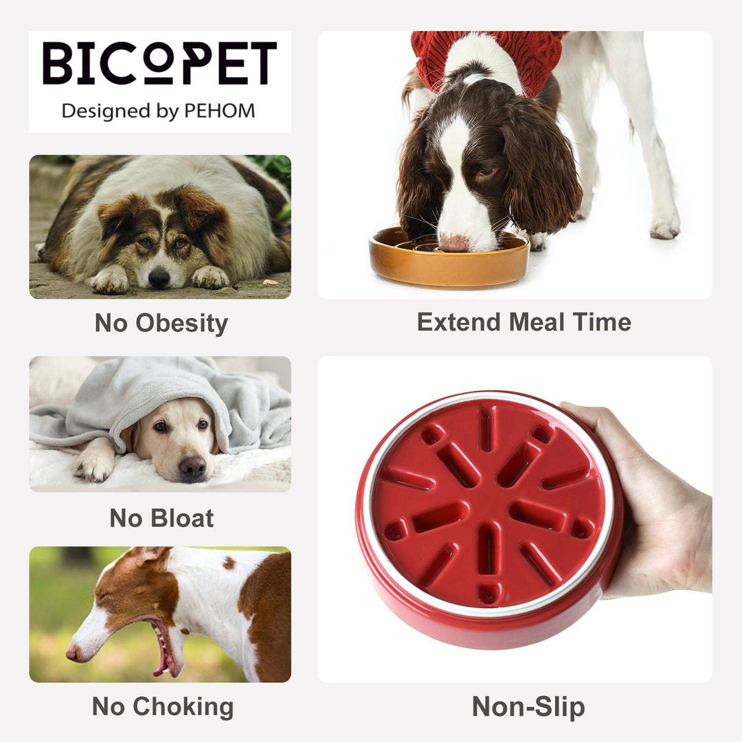 Spark Slow Feeder Dog Bowl
