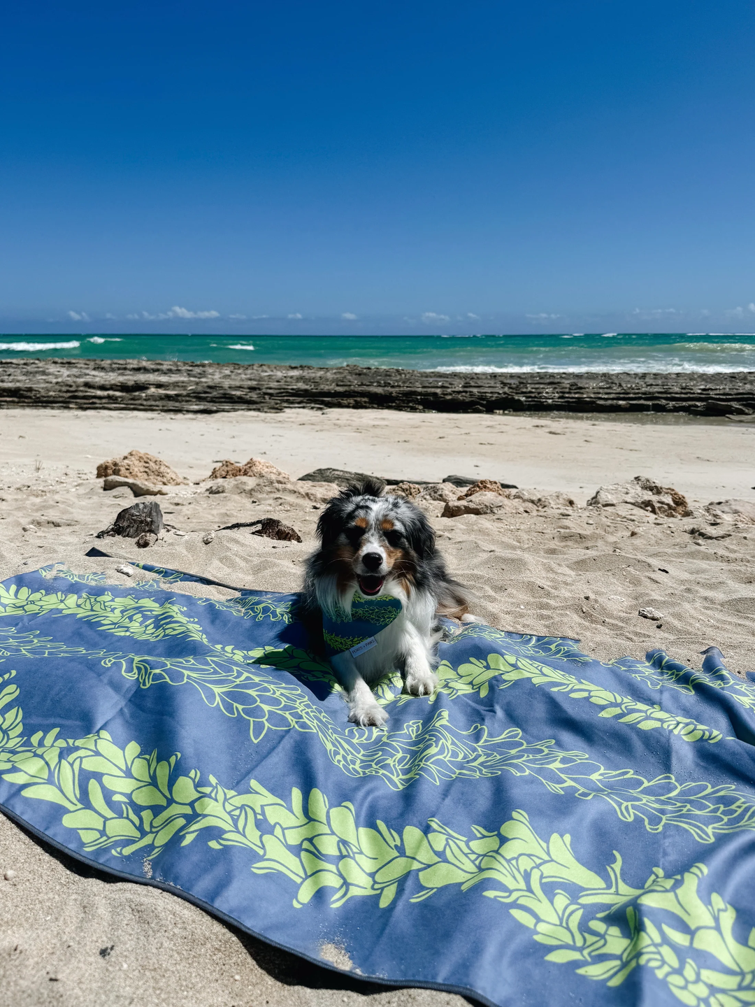 Towel - Pakalana