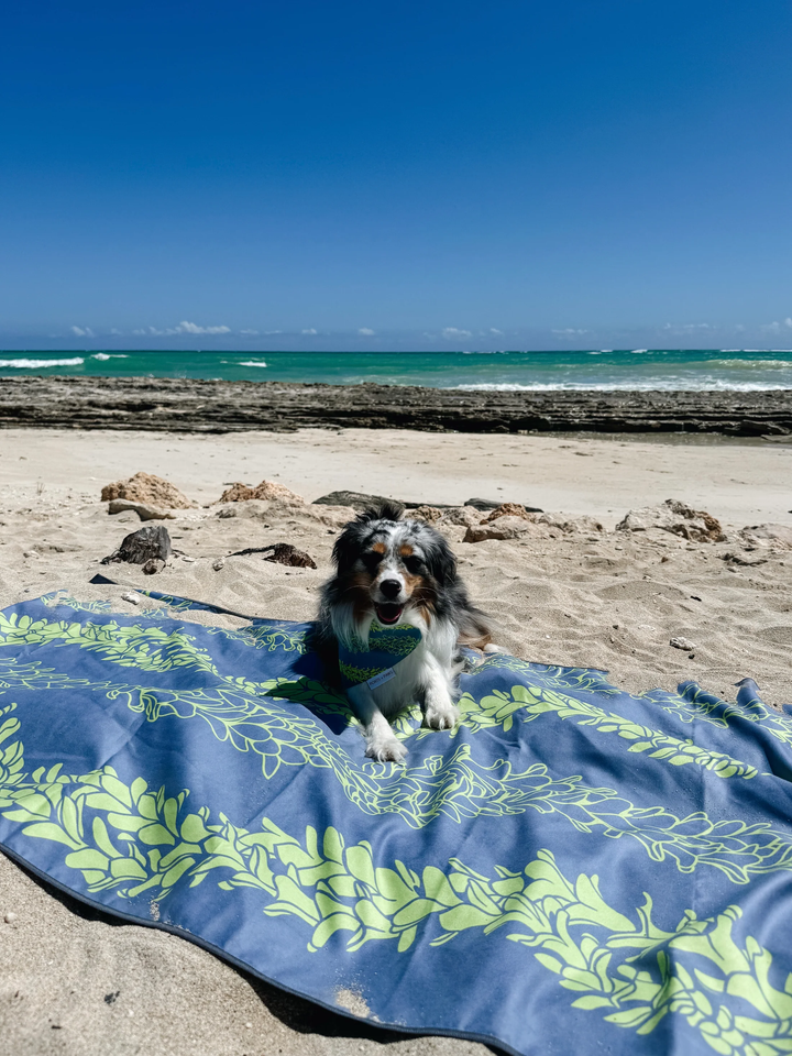 Towel - Pakalana