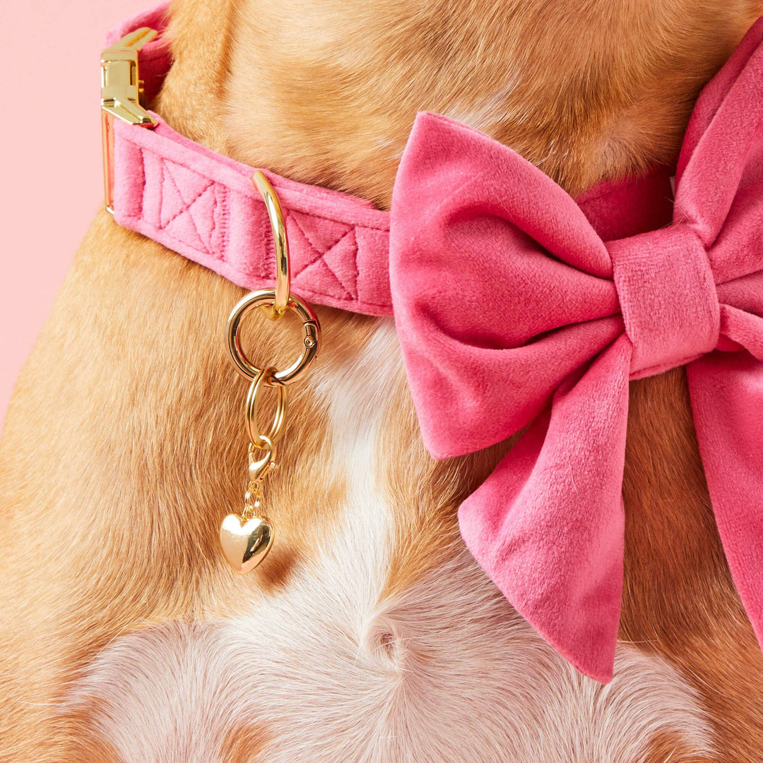 Heart of Gold Collar Charm