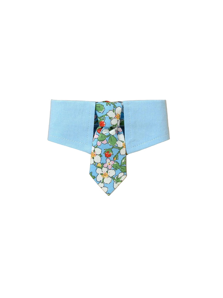 Blue Botanique Necktie Bandana