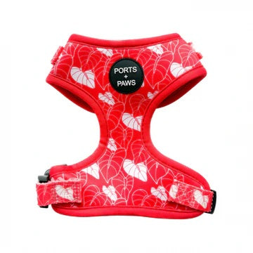 Harness - Anthurium Red