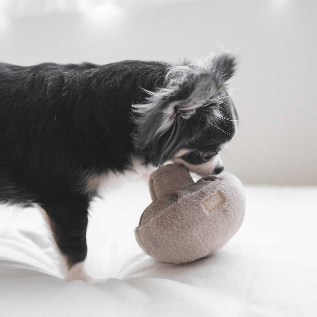 Guu Haze Mushroom Enrichment Toy
