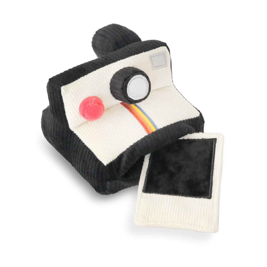 Instant Camera Enrichment Dog Toy