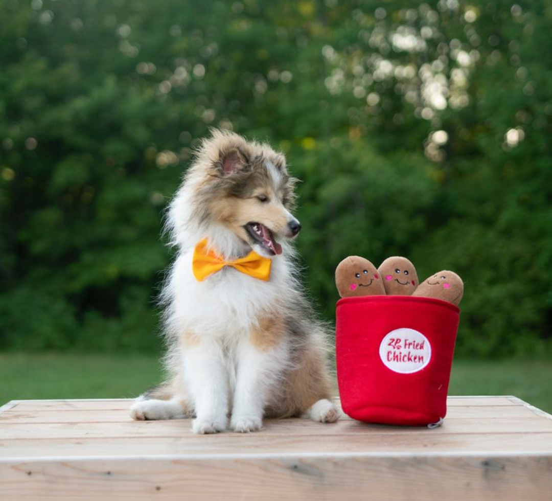 Zippy Burrow - Bucket of Chicken - Dog Toy
