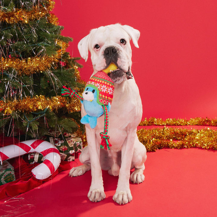 Walter the Winter Walrus Dog Toy