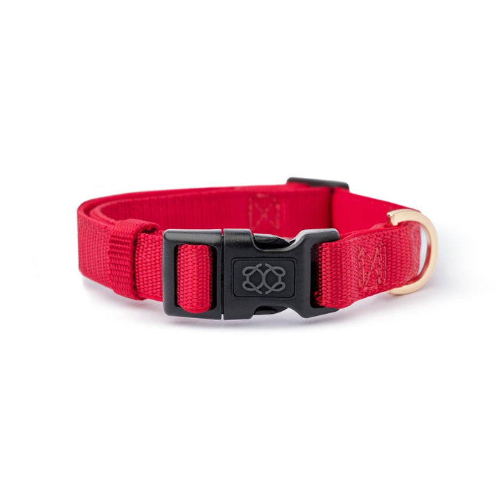 Iconic Red