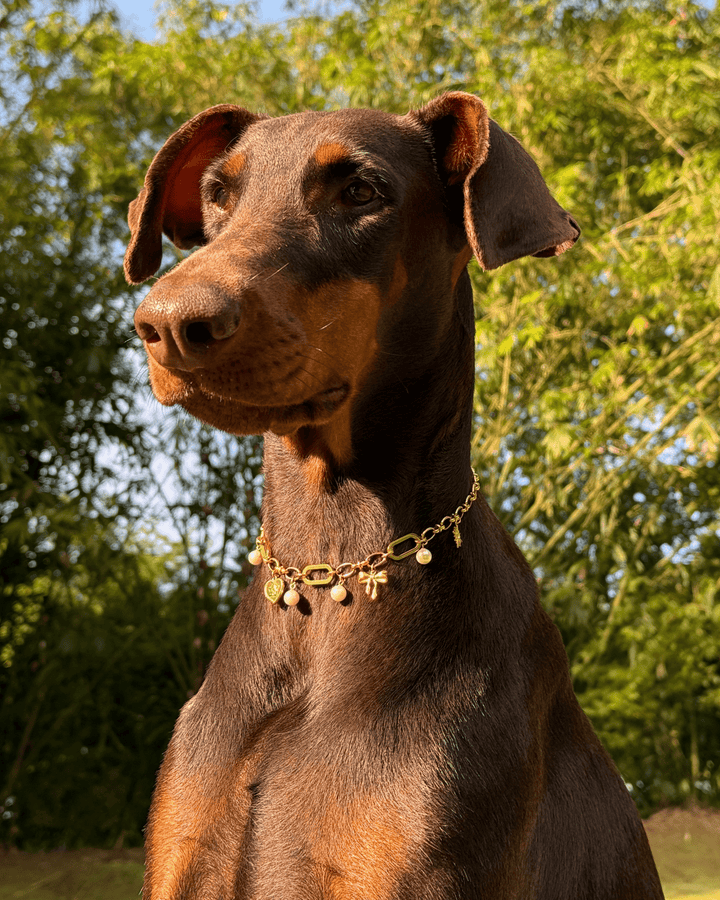 Amelia Necklace