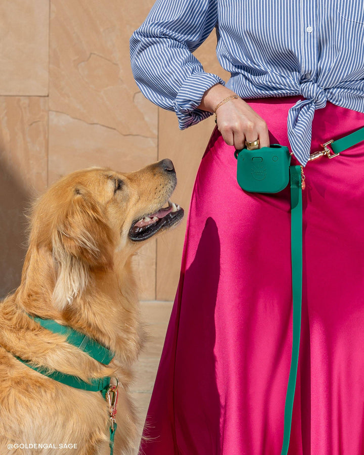 Dandelion Yellow Snap Dog Treat Pouch