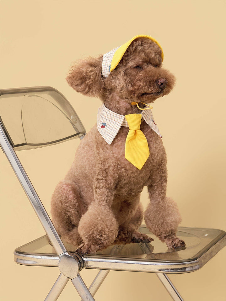 Sunny Days Yellow Checkered Dog Cap