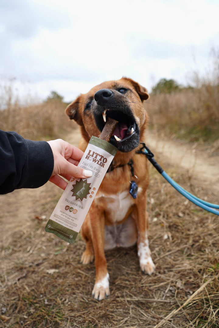 Wild Rabbit Stick