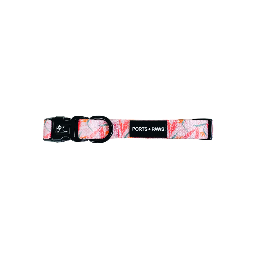 Collar - Paiko